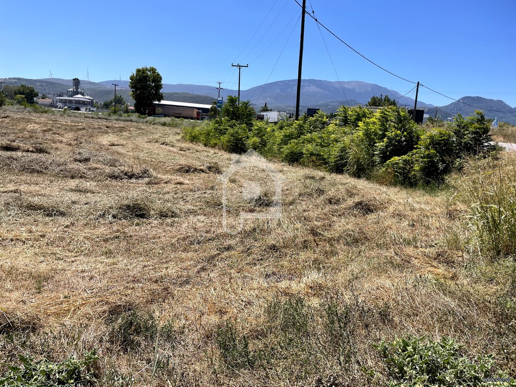 Αγροτεμάχια 13.400 τ.μ. πρός πώληση, Βοιωτία, Αλίαρτος
