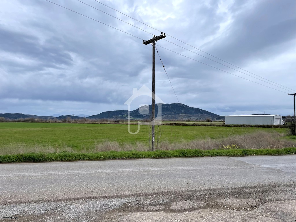 Αγροτεμάχια 13.400 τ.μ. πρός πώληση, Βοιωτία, Αλίαρτος