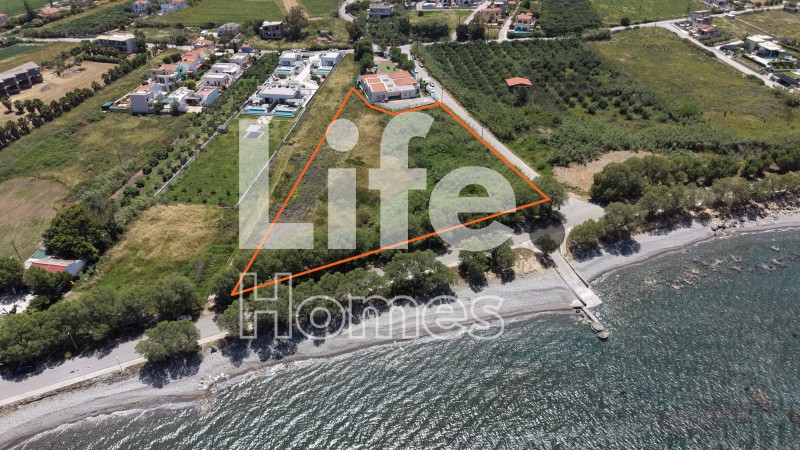 Οικόπεδο 6.484,39 τ.μ. προς πώληση, Ταυρωνίτης