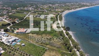 Οικόπεδο 6.484,39 τ.μ. για πώληση