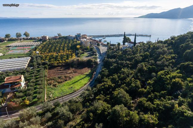 Αγροτεμάχια 2.726 τ.μ. για πώληση, Αρκαδία, Λεωνίδιο
