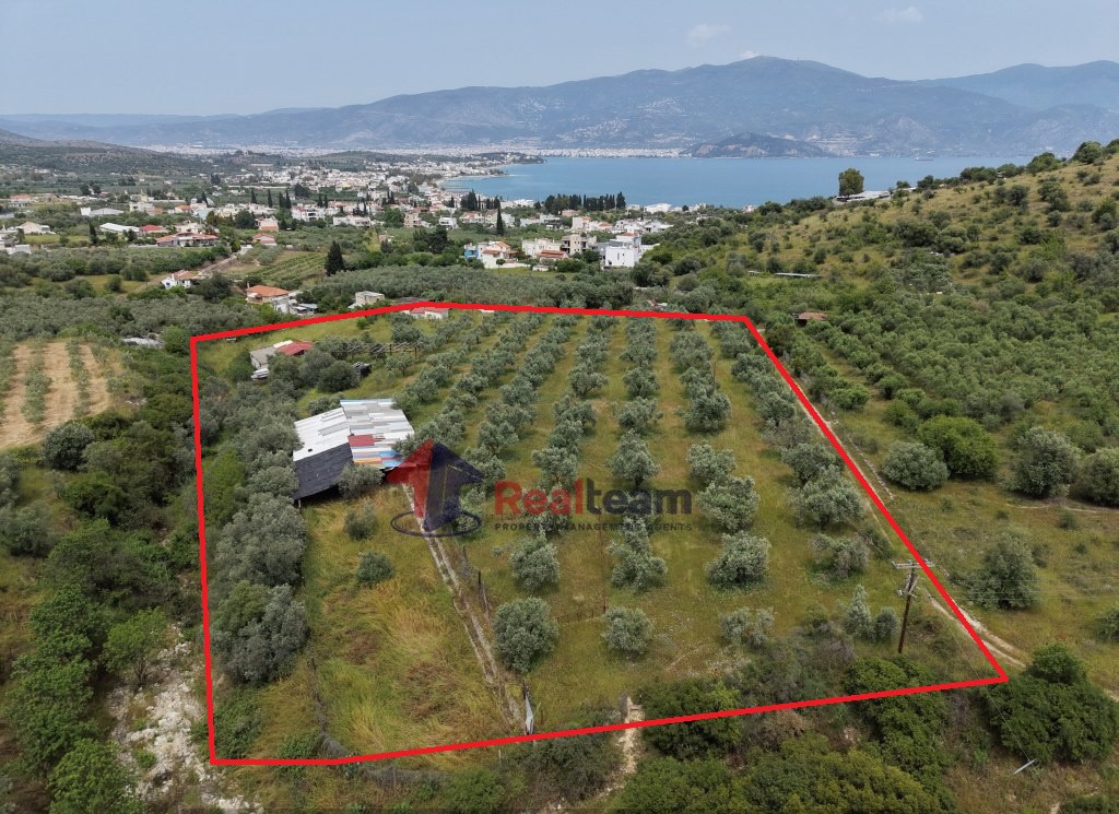 Μονοκατοικία 109,70 τ.μ. προς πώληση, Νέες Παγασές