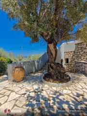 Βίλλα 340 τ.μ. για πώληση, Ν. Λευκάδας, Λευκάδα-thumb-5
