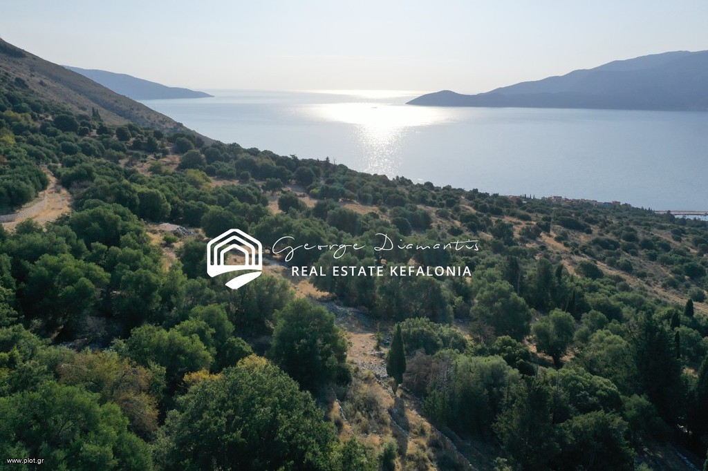 Αγροτεμάχια 2.416 τ.μ. πρός πώληση, Ν. Κεφαλονιάς, Κεφαλονιά