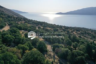 Αγροτεμάχια 2.416 τ.μ. για πώληση