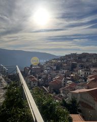 Αγροτεμάχια 53.000 τ.μ. για πώληση
