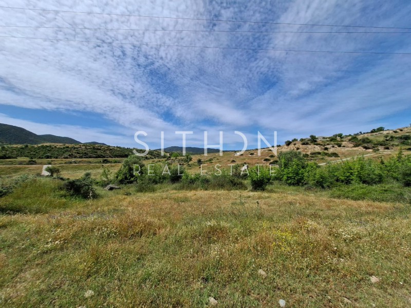 Οικόπεδο 500 τ.μ. προς πώληση, Σκάλα Συκέας