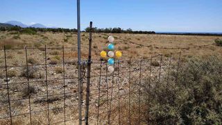 Αγροτεμάχια 4.000 τ.μ. για πώληση