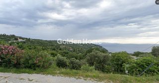 Οικόπεδο 783 τ.μ. για πώληση