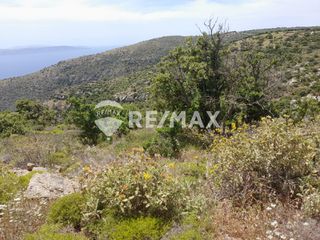 Αγροτεμάχια 32.263 τ.μ. για πώληση