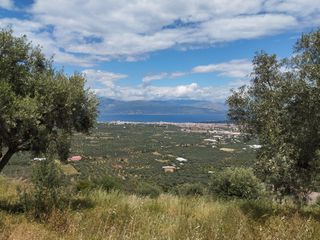 Οικόπεδο 2.000 τ.μ. για πώληση