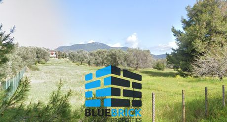 Land plot 4.035 sqm for sale