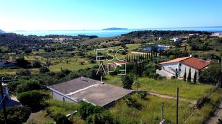 Μονοκατοικία 100 τ.μ. για πώληση