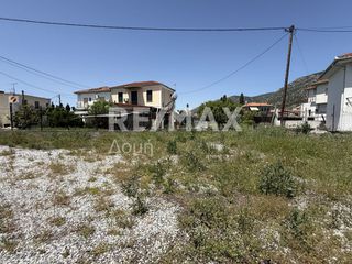 Οικόπεδο 395 τ.μ. προς ενοικίαση, Μαγνησία, Αγριά-thumb-5