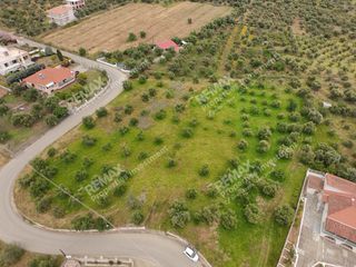 Οικόπεδο 1.000 τ.μ. για πώληση, Μεσσηνία, Μεσσήνη-thumb-6