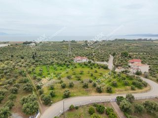 Οικόπεδο 1.000 τ.μ. για πώληση, Μεσσηνία, Μεσσήνη-thumb-2