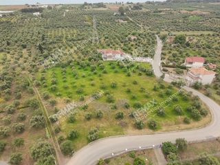 Οικόπεδο 1.000 τ.μ. για πώληση, Μεσσηνία, Μεσσήνη-thumb-1