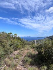 Αγροτεμάχια 15.000 τ.μ. για πώληση, Ν. Λευκάδας, Λευκάδα-thumb-3