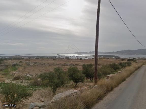 Οικόπεδο 11.000 τ.μ. προς πώληση, Αλυκή Πάρου
