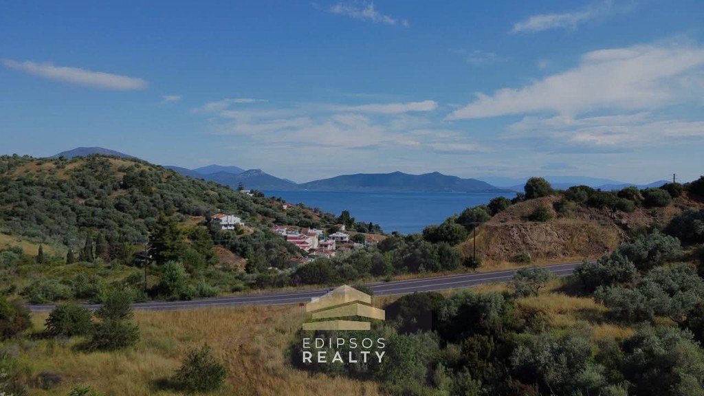 Οικόπεδο 14.900 τ.μ. προς πώληση, Νέος Πύργος Ωρεών
