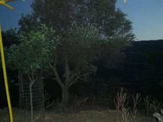 Μονοκατοικία 45 τ.μ. για πώληση, Ν. Σάμου, Ικαρία-thumb-9