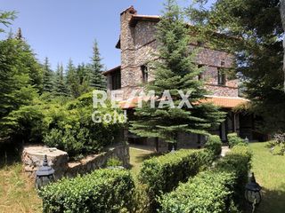 Μονοκατοικία 310 τ.μ. για πώληση, Πέλλα, Βεγορίτιδα-thumb-20