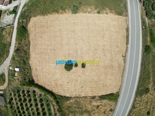 Οικόπεδο 3.637 τ.μ. για πώληση, Αργολίδα, Νέα Τίρυνθα-thumb-9