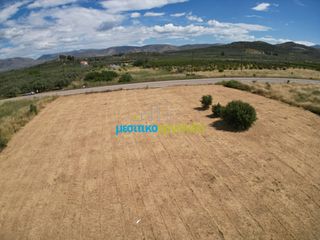 Οικόπεδο 3.637 τ.μ. για πώληση, Αργολίδα, Νέα Τίρυνθα-thumb-2