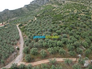 Αγροτεμάχια 6.589,80 τ.μ. προς πώληση, Σταθαίικα-thumb-12