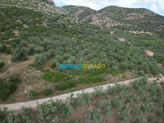 Αγροτεμάχια 6.589,80 τ.μ. προς πώληση, Σταθαίικα-thumb-6