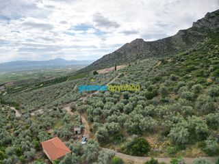 Αγροτεμάχια 6.589,80 τ.μ. προς πώληση, Σταθαίικα-thumb-3