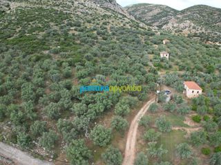 Αγροτεμάχια 6.589,80 τ.μ. προς πώληση, Σταθαίικα-thumb-9