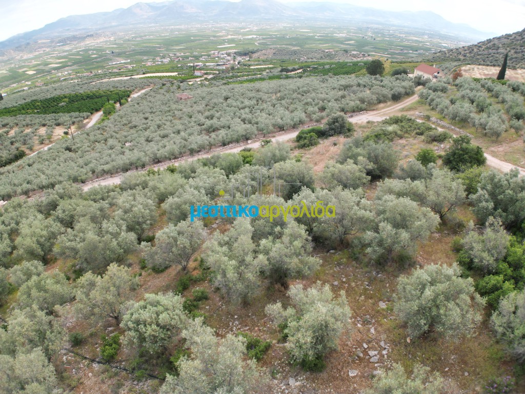 Αγροτεμάχια 6.589,80 τ.μ. προς πώληση, Σταθαίικα