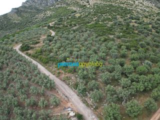 Αγροτεμάχια 6.589,80 τ.μ. προς πώληση, Σταθαίικα-thumb-10