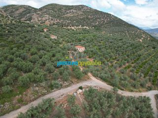 Αγροτεμάχια 6.589,80 τ.μ. προς πώληση, Σταθαίικα-thumb-7