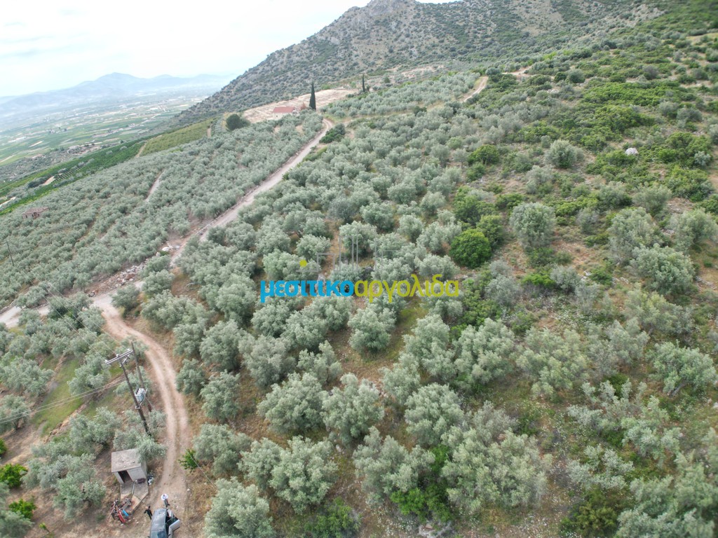 Αγροτεμάχια 6.589,80 τ.μ. προς πώληση, Σταθαίικα