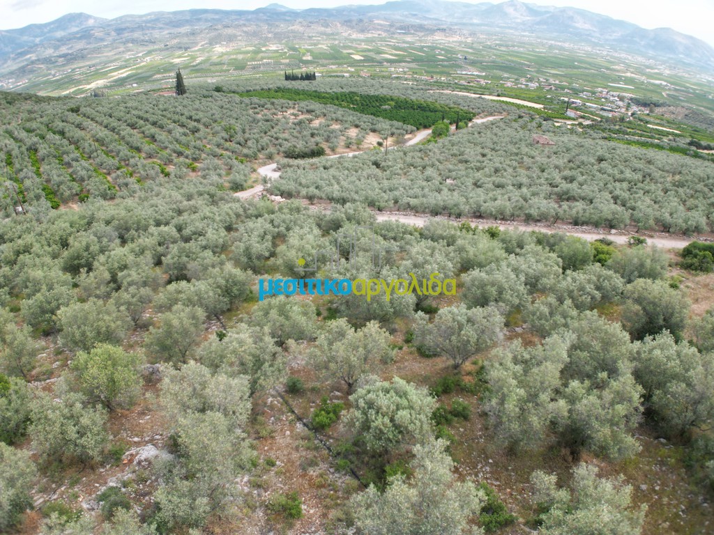 Αγροτεμάχια 6.589,80 τ.μ. προς πώληση, Σταθαίικα