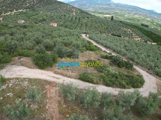 Αγροτεμάχια 6.589,80 τ.μ. προς πώληση, Σταθαίικα-thumb-5