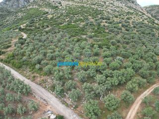 Αγροτεμάχια 6.589,80 τ.μ. προς πώληση, Σταθαίικα-thumb-8