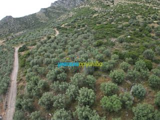 Αγροτεμάχια 6.589,80 τ.μ. προς πώληση, Σταθαίικα-thumb-11