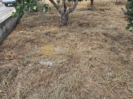 Land plot 350 sqm for sale