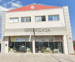 Επιχειρηματικό κτίριο 620 τ.μ. για πώληση