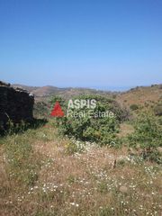 Αγροτεμάχια 4.065 τ.μ. για πώληση