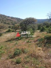 Αγροτεμάχια 4.065 τ.μ. για πώληση, Κυκλάδες, Κέα-thumb-2