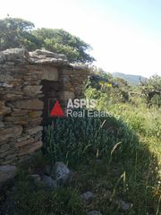 Αγροτεμάχια 4.065 τ.μ. για πώληση, Κυκλάδες, Κέα-thumb-3