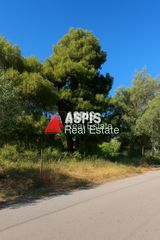 Οικόπεδο 420 τ.μ. για πώληση, Αττική - Υπόλοιπο, Ραφήνα-thumb-6
