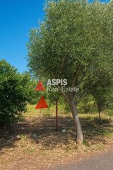 Οικόπεδο 420 τ.μ. για πώληση, Αττική - Υπόλοιπο, Ραφήνα-thumb-3