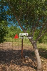 Οικόπεδο 420 τ.μ. για πώληση, Αττική - Υπόλοιπο, Ραφήνα-thumb-4