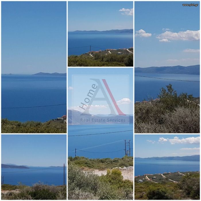 Αγροτεμάχια 802 τ.μ. προς πώληση, Ακτή Νηρέως