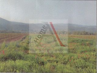 Οικόπεδο 6.875 τ.μ. για πώληση